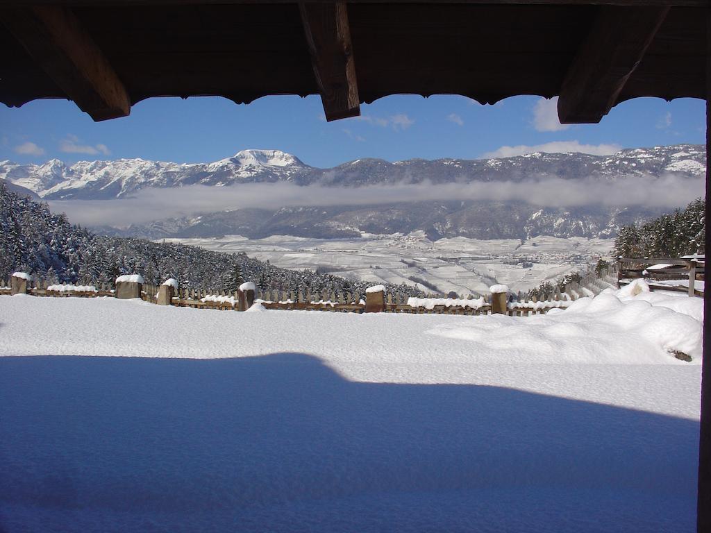 科日多Agriturismo Alpenvidehof别墅 外观 照片