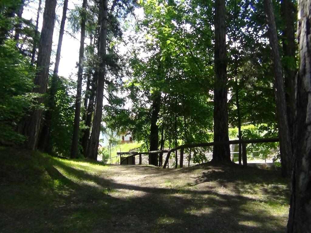 科日多Agriturismo Alpenvidehof别墅 外观 照片