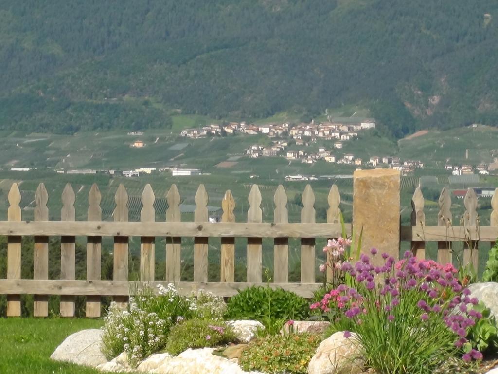 科日多Agriturismo Alpenvidehof别墅 外观 照片