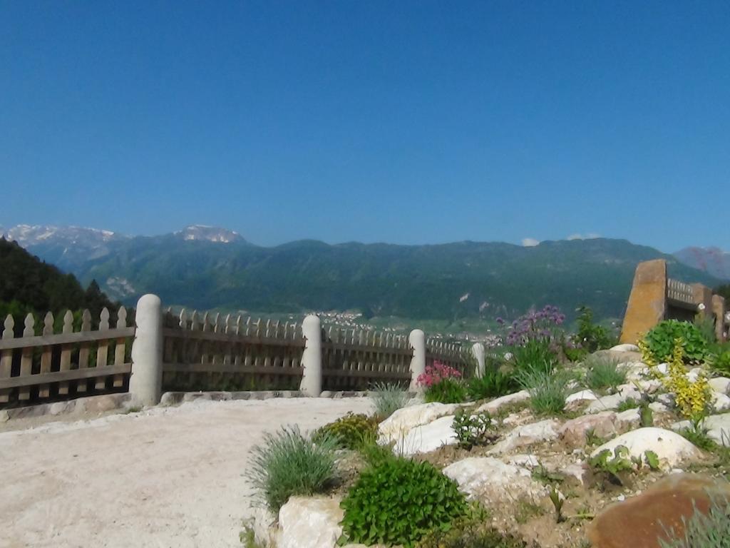 科日多Agriturismo Alpenvidehof别墅 外观 照片